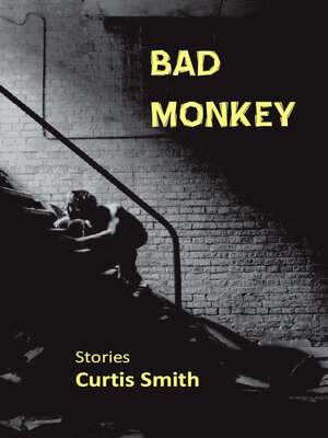 cover image of Bad Monkey